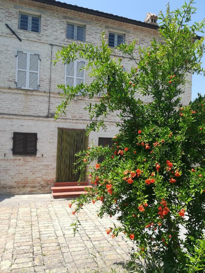 Casa Vacanze Da Peppa Grottazzolina Экстерьер фото
