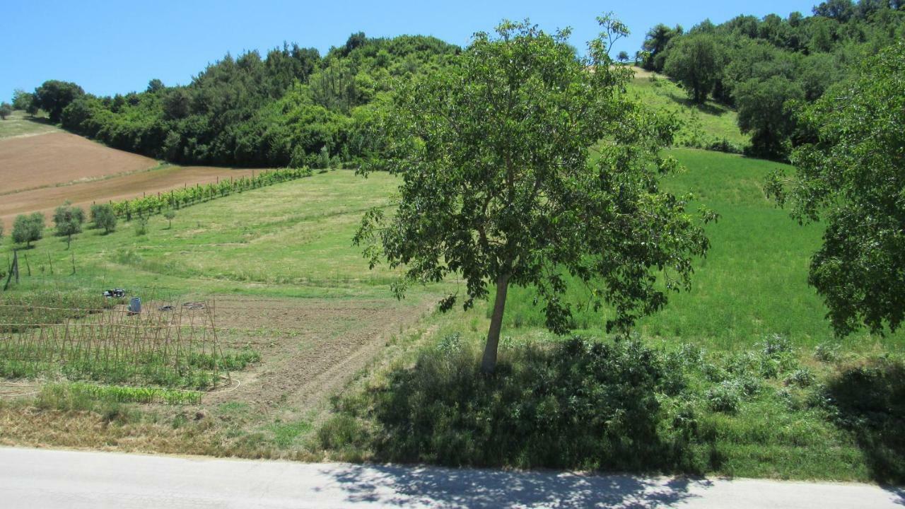 Casa Vacanze Da Peppa Grottazzolina Экстерьер фото